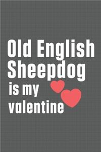 Old English Sheepdog is my valentine