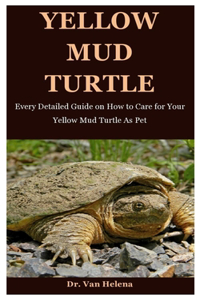 Yellow Mud Turtle