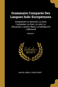 Grammaire Comparée Des Langues Indo-Européennes