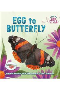 Egg to Butterfly