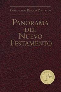 Panorama del Nuevo Testamento