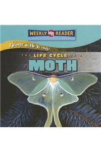 The Life Cycle of a Moth
