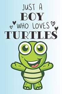 Just A Boy Who Loves Turtles