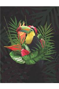Tropical Toucan