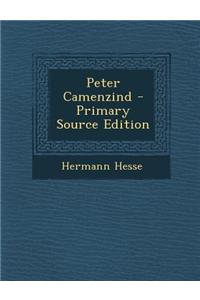 Peter Camenzind - Primary Source Edition