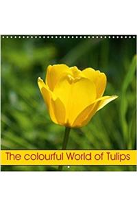 The Colourful World of Tulips 2018