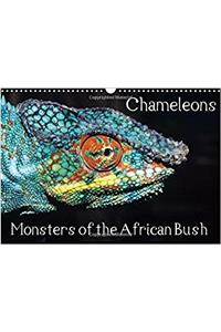 Chameleons Monsters of the African Bush 2018