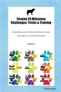 Tornjak 20 Milestone Challenges