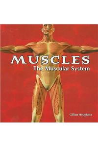 Muscles: The Muscular System