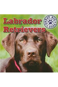 Labrador Retrievers