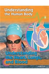 Understanding the Heart, Lungs, and Blood
