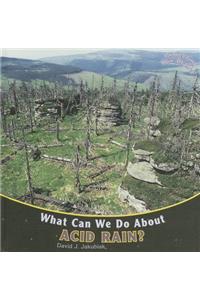 What Can We Do about Acid Rain?