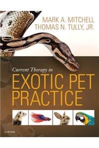 Current Therapy in Exotic Pet Practice