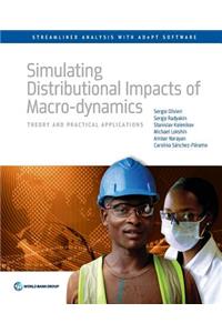 Simulating Distributional Impacts of Macro-Dynamics