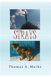 Strays