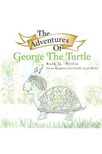 The Adventures of George the Turtle