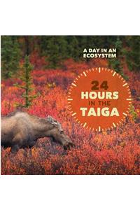 24 Hours in the Taiga