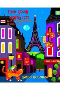 The Stow Away Cat