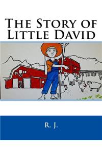 The Story of Little David