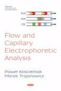 Flow and Capillary Electrophoretic Analysis