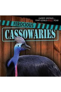 Ferocious Cassowaries