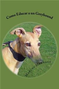 Como Educar a un Greyhound