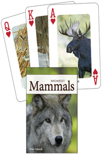 Mammals of the Midwest