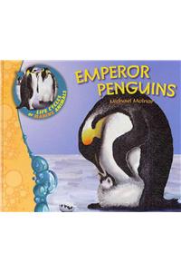 Emperor Penguins