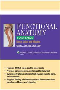 Functional Anatomy Flash Cards