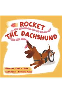 Rocket the Dachsund