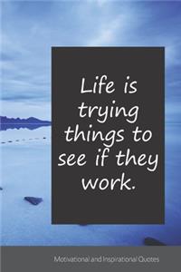 Life is trying things to see if they work.
