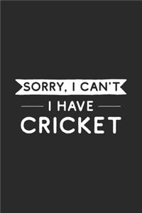 Sorry I Can't I Have Cricket