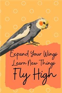 Expand Your Wings Learn New Things Fly High