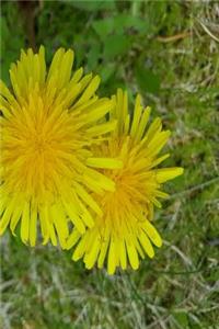 2019 Weekly Planner Double Dandelions Overhead Angle 134 Pages