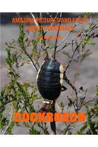 Cockroach: Amazing Pictures and Facts about Cockroach