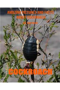 Cockroach