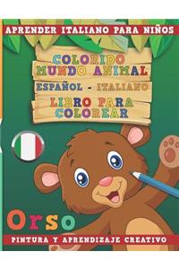 Colorido Mundo Animal - Espa