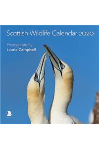 Scottish Wildlife Calendar 2020