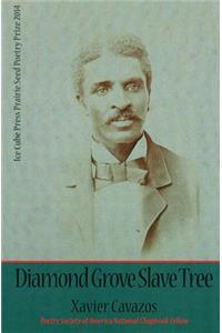 Diamond Grove Slave Tree