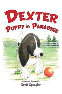 Dexter, Puppy in Paradise