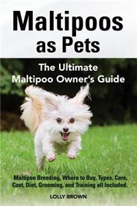 Maltipoos as Pets