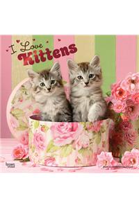 Kittens, I Love 2021 Square Foil
