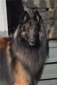 Belgian Shepherd Dog Journal