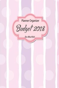 Budget Planner Organizer 2018