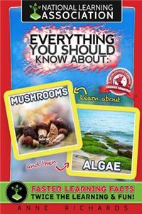 Everything You Should Know About Mushrooms and Algae