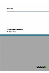 Lernwerkstatt Wiese