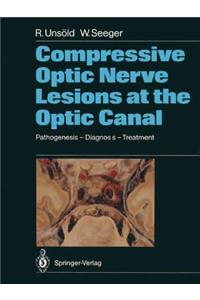 Compressive Optic Nerve Lesions at the Optic Canal