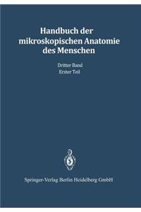 Haut Und Sinnesorgane