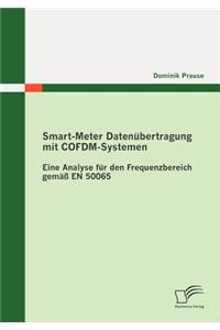 Smart-Meter Datenübertragung mit COFDM-Systemen