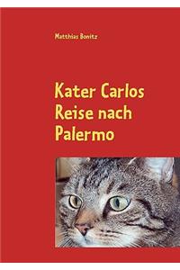 Kater Carlos Reise nach Palermo